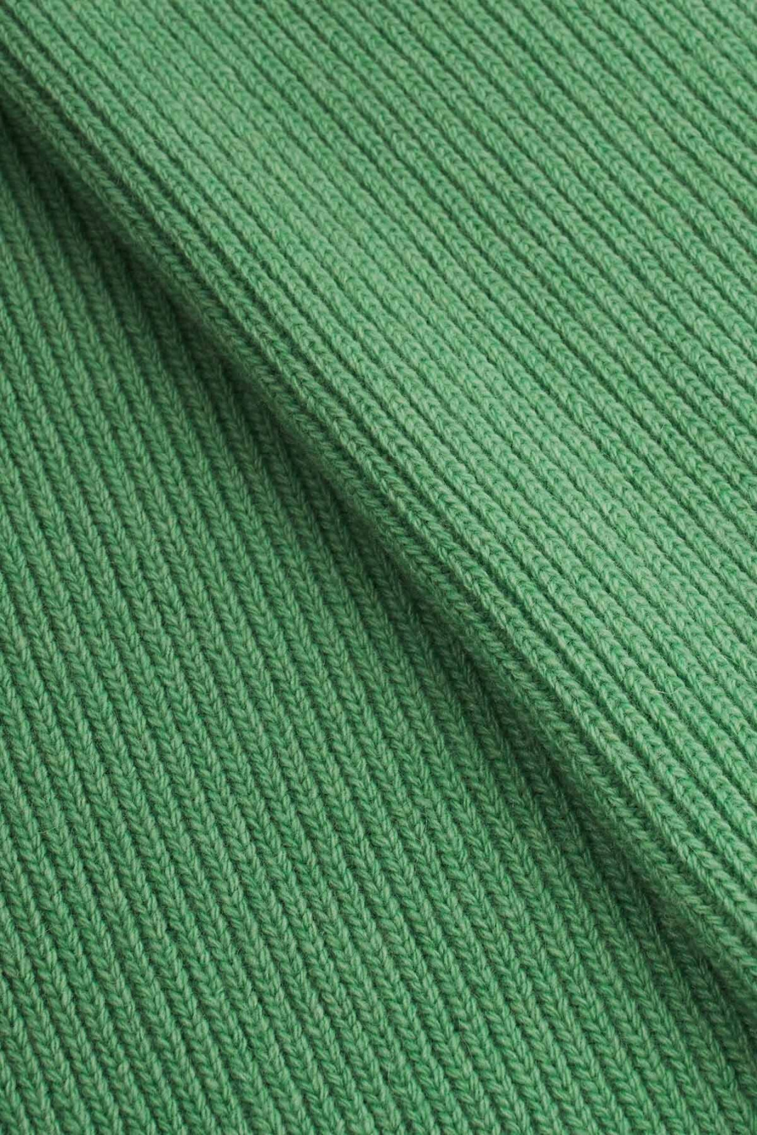Albert Merino Scarf Green Scarves Elementy